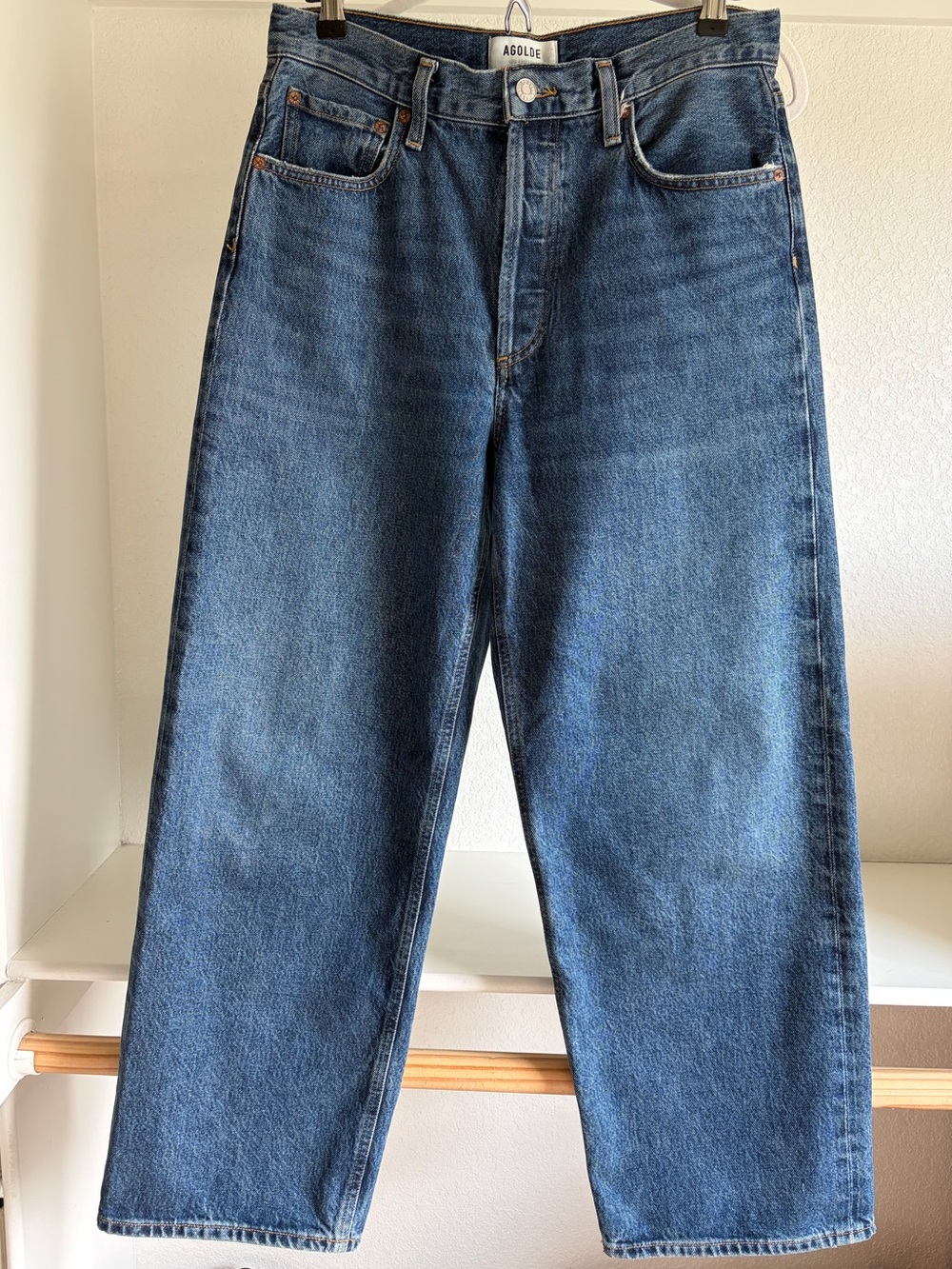 Agolde Low Slung Baggy Jeans in Essence